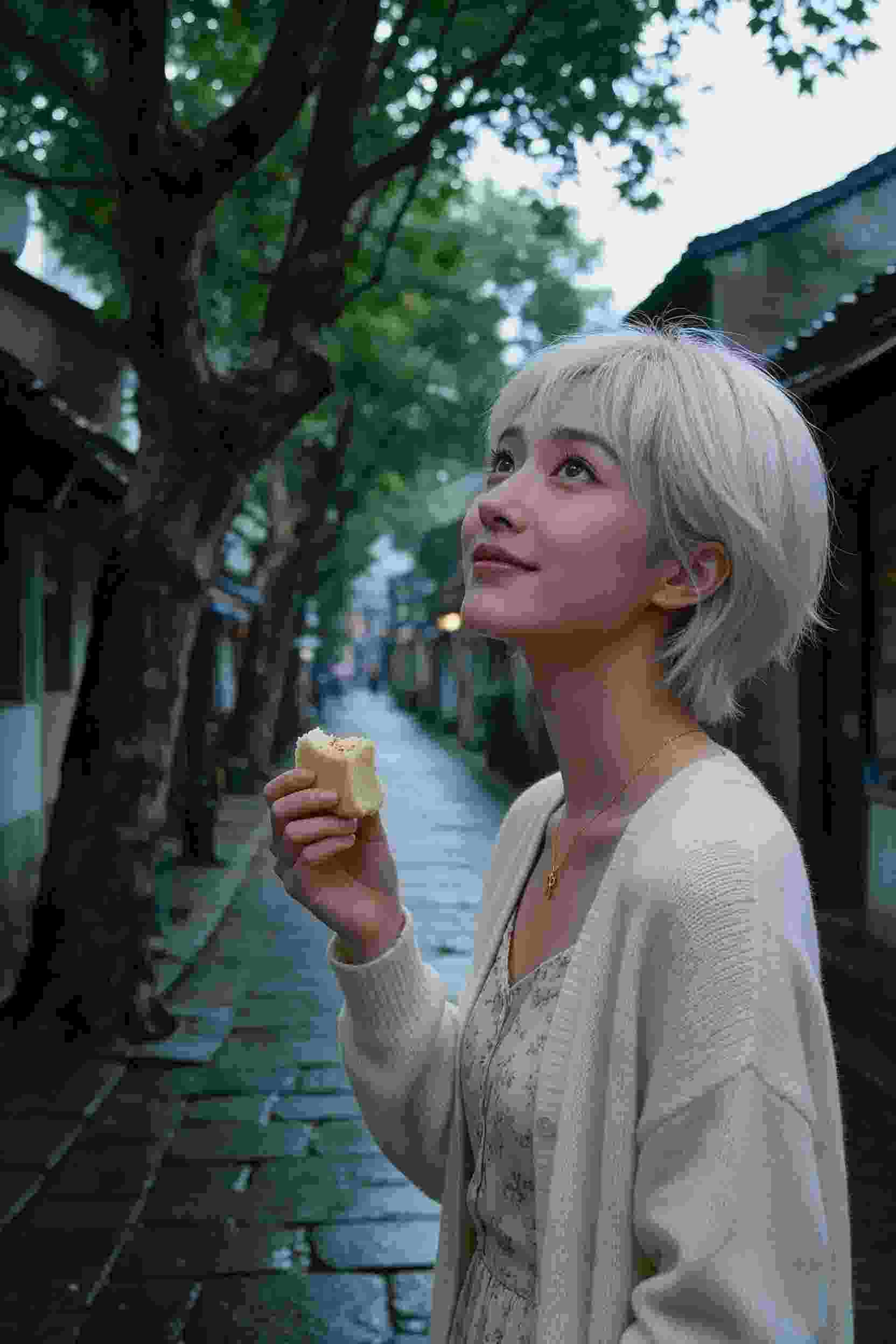 月影传说